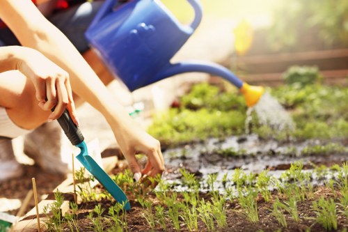 Professional tree lopping service in Ealing