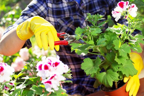 Gardener discussing concerns in a residential garden