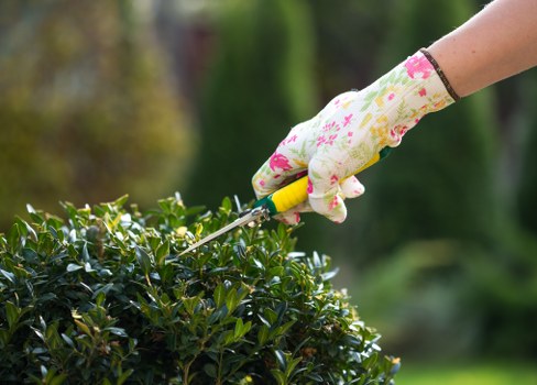 Beautifully landscaped garden with vibrant flowers and greenery