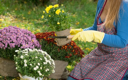Composted material and woodchip being reused in community gardens