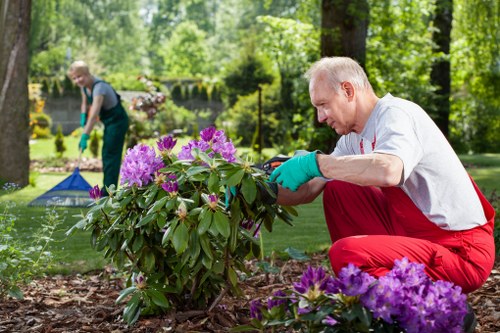 Choosing the right tree service provider