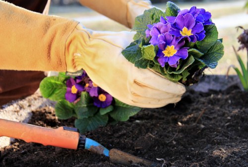 Sustainable garden practices with native plants and eco-friendly features