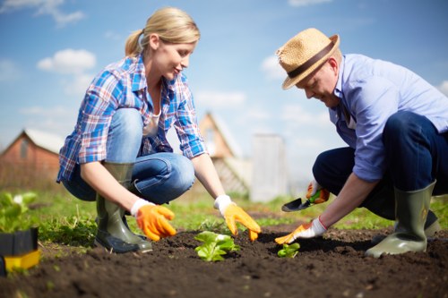 Eco-friendly garden design with native plants and sustainable practices